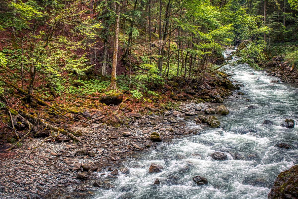 Breitachklamm Allgäu Wald Fluss