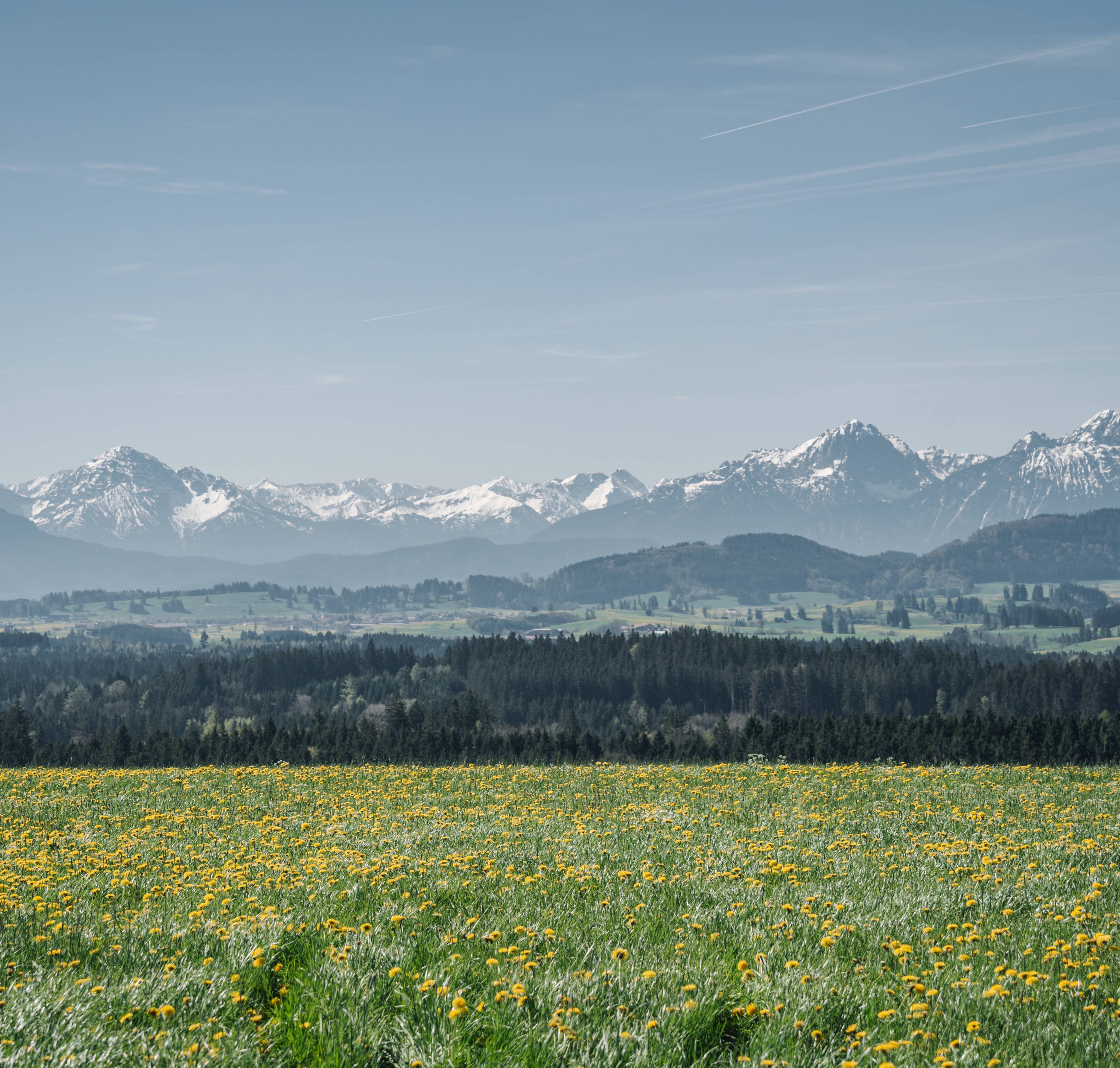 Allgäu Panorama