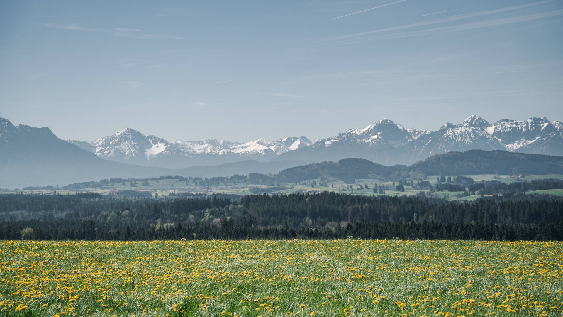 Allgäu Panorama