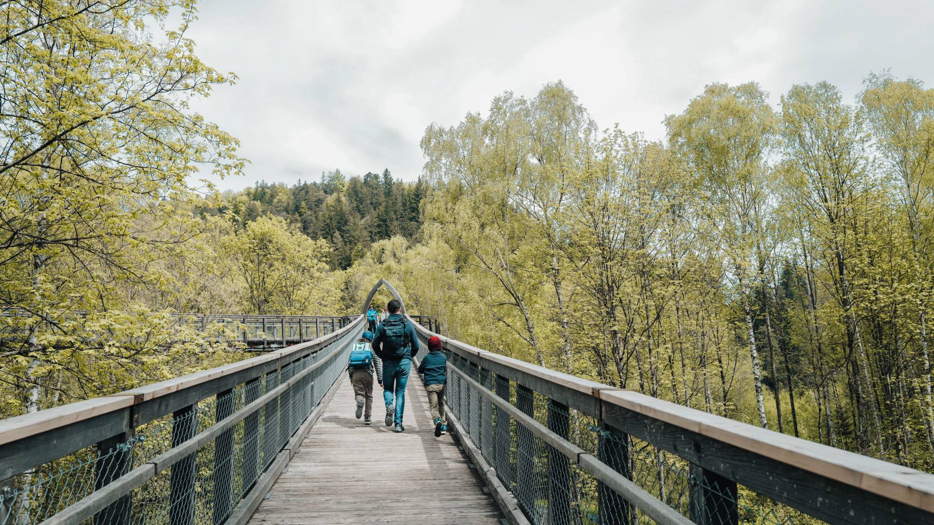 Familie auf Holzsteg im Wald